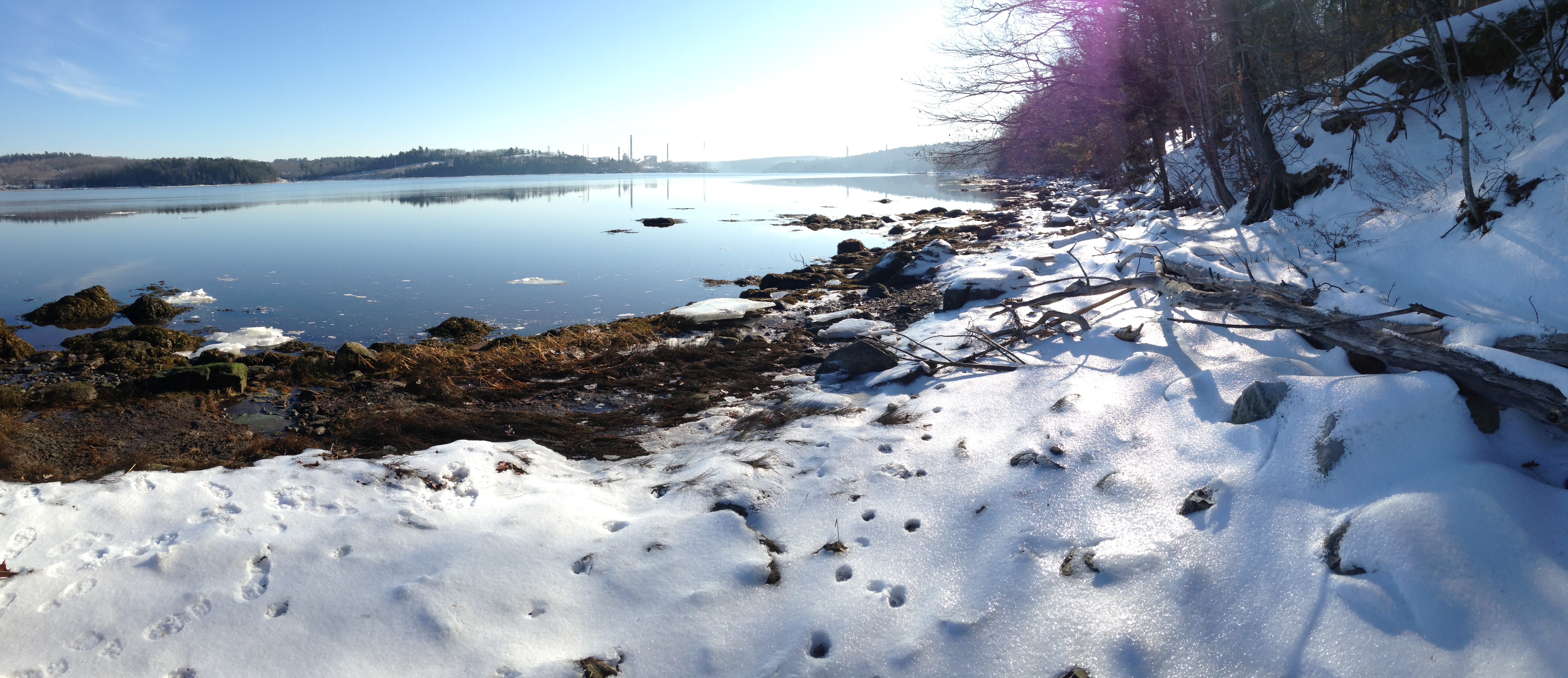 Two land trusts create Penobscot Shore Preserve