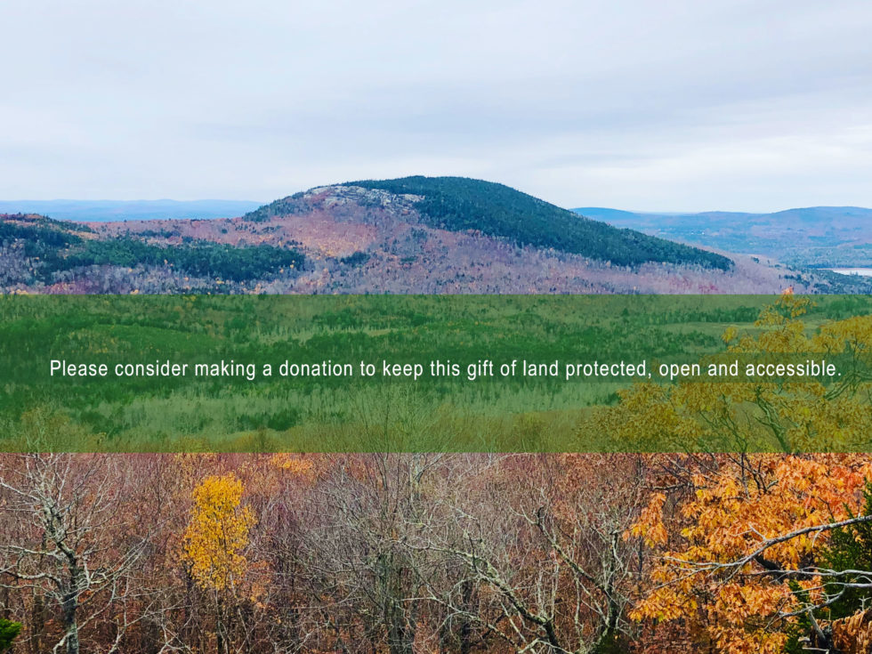 Support Great Pond Mountain Conservation Trust Great Pond Mountain