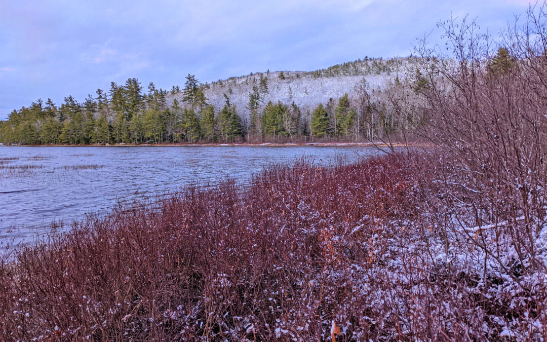 Winter in the Wildlands