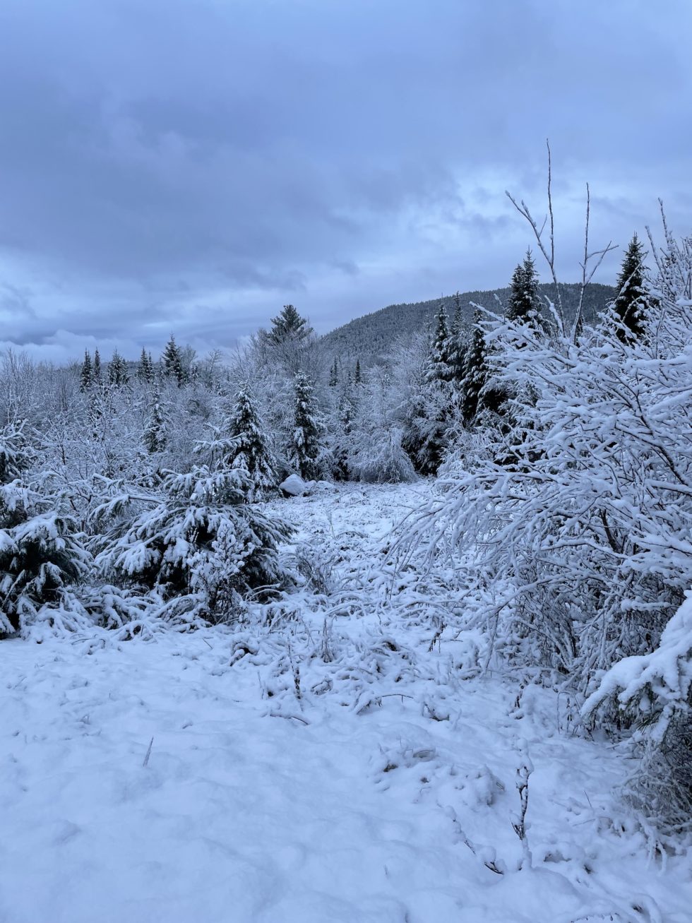 Winter in the Wildlands Great Pond Mountain Conservation Trust