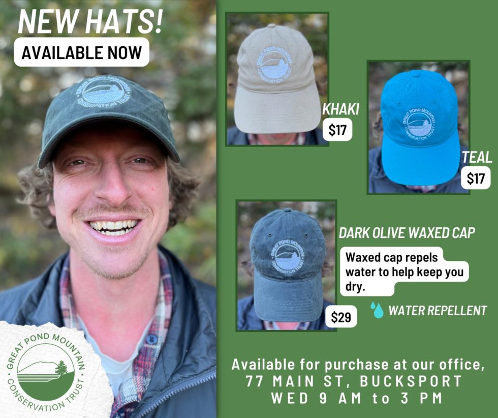 Great Pond Mountain Conservation Trust Conserving land, water, and