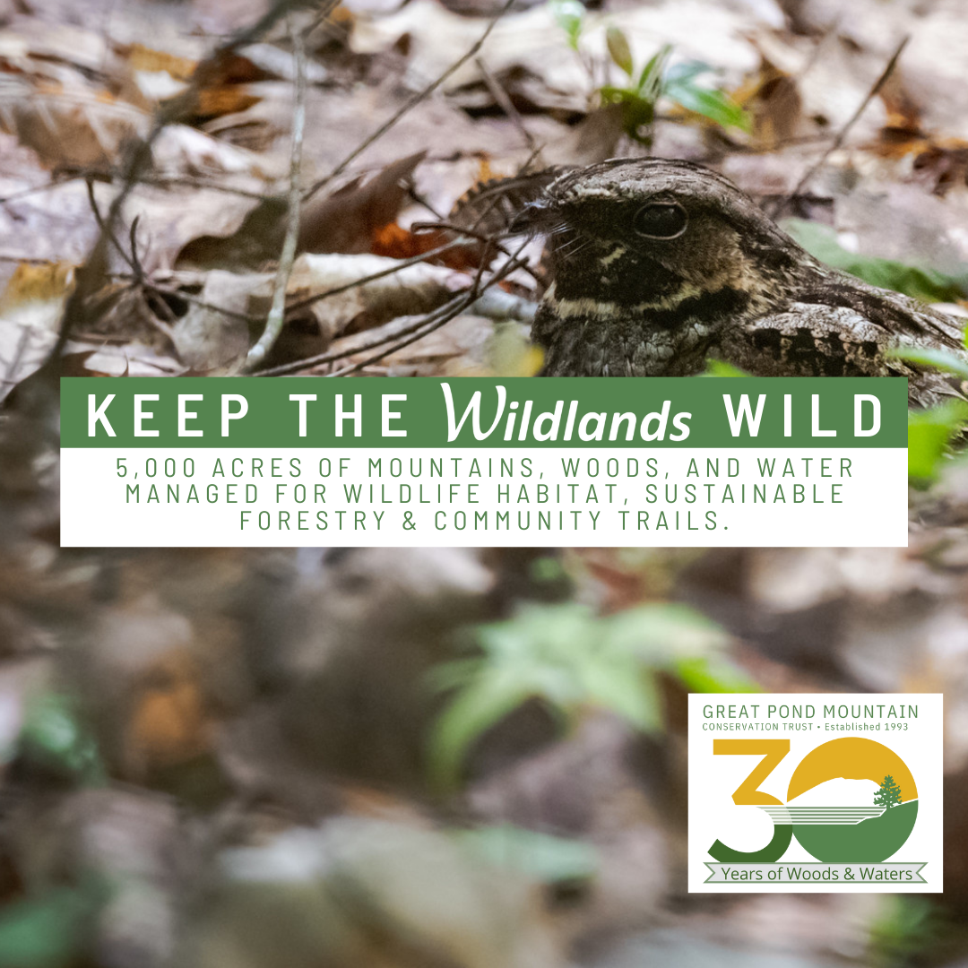 Great Pond Mountain Conservation Trust Conserving land, water, and