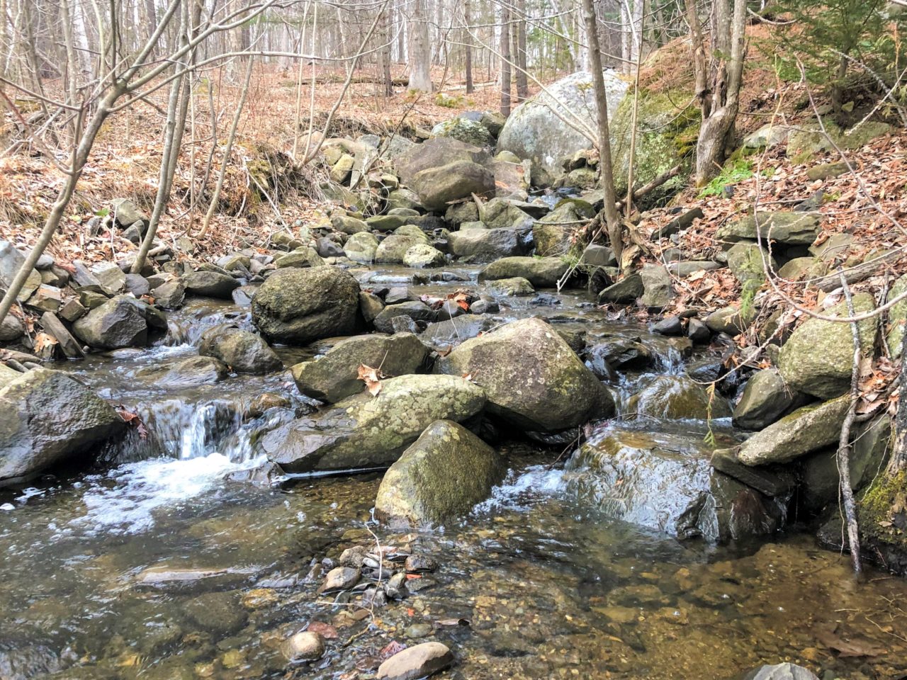 Wildlands Spring 2024 Great Pond Mountain Conservation Trust