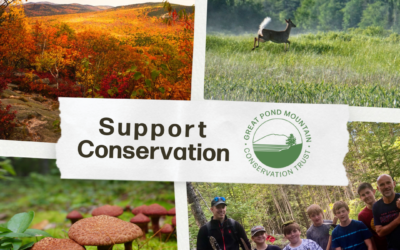 Support Conservation