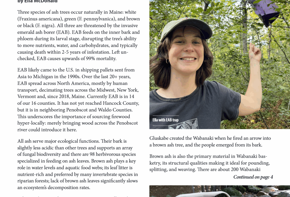 Newsletter & Annual Report – Fall 2024