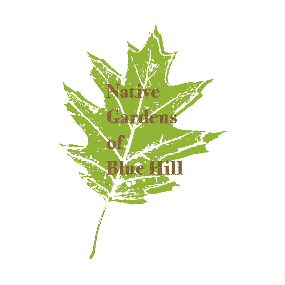 Native Gardens of Blue Hill