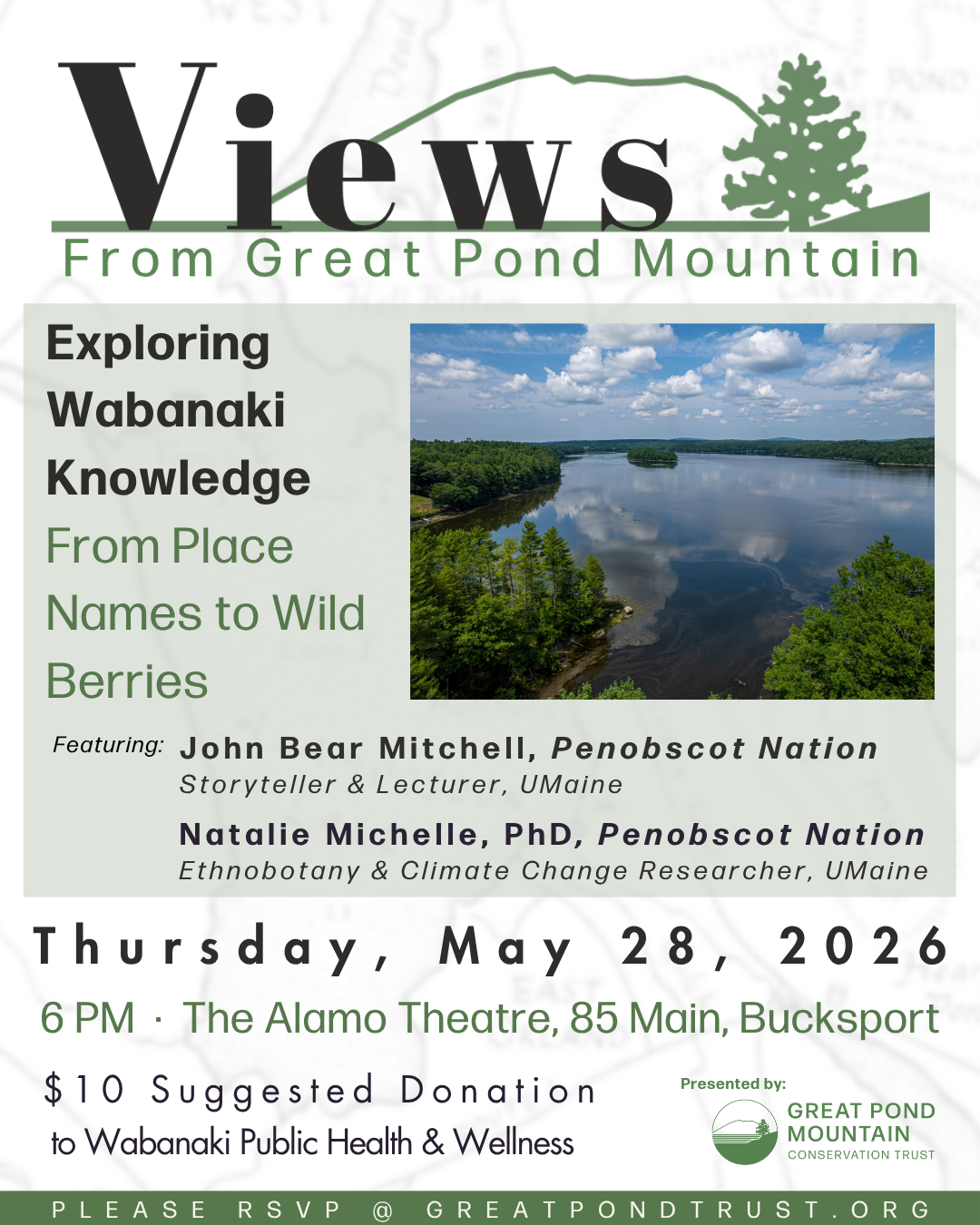 4/11/2026 Stargazing In The Wildlands | GPMCT Monthly Meetup - Poster