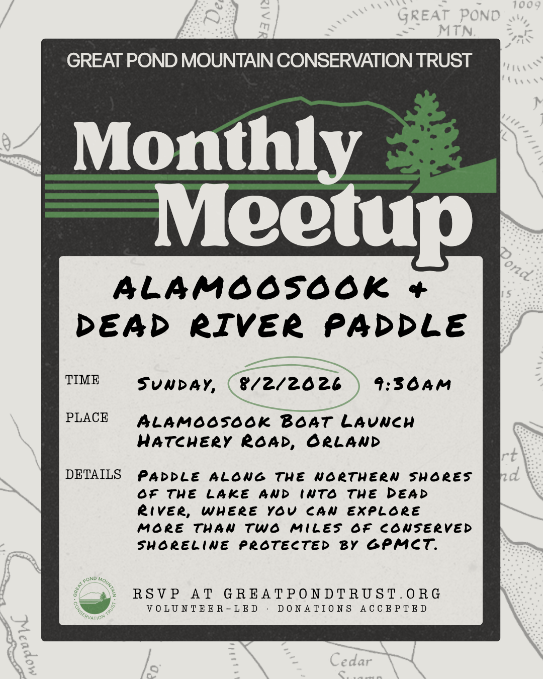 4/11/2026 Stargazing In The Wildlands | GPMCT Monthly Meetup - Poster