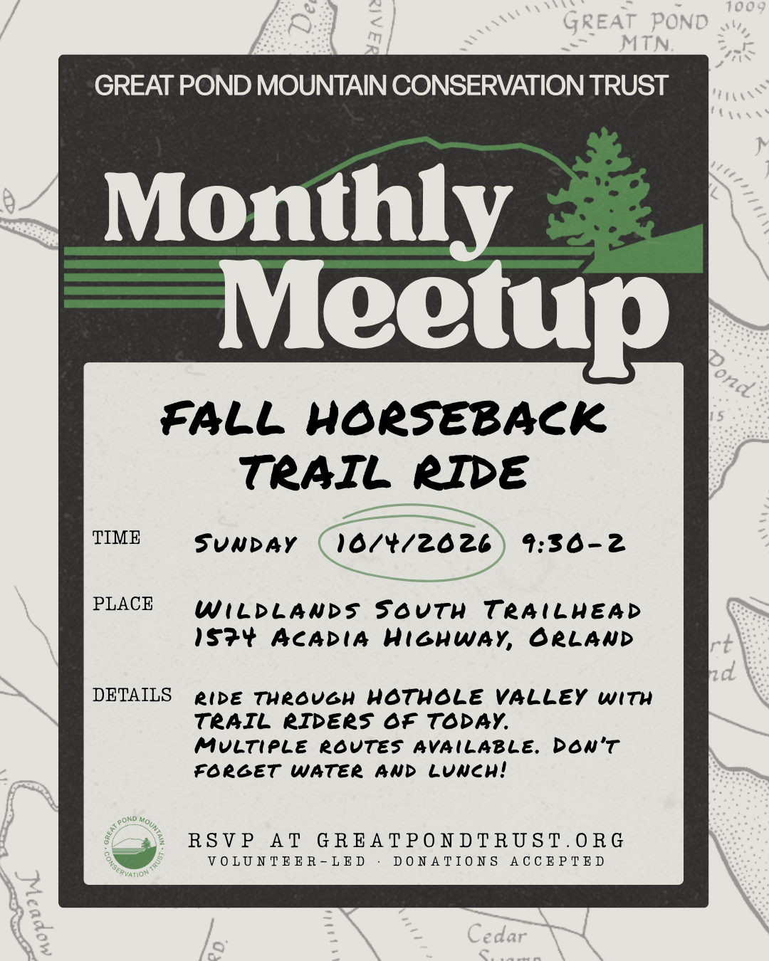 Poster for 9/19/2026 Meetup