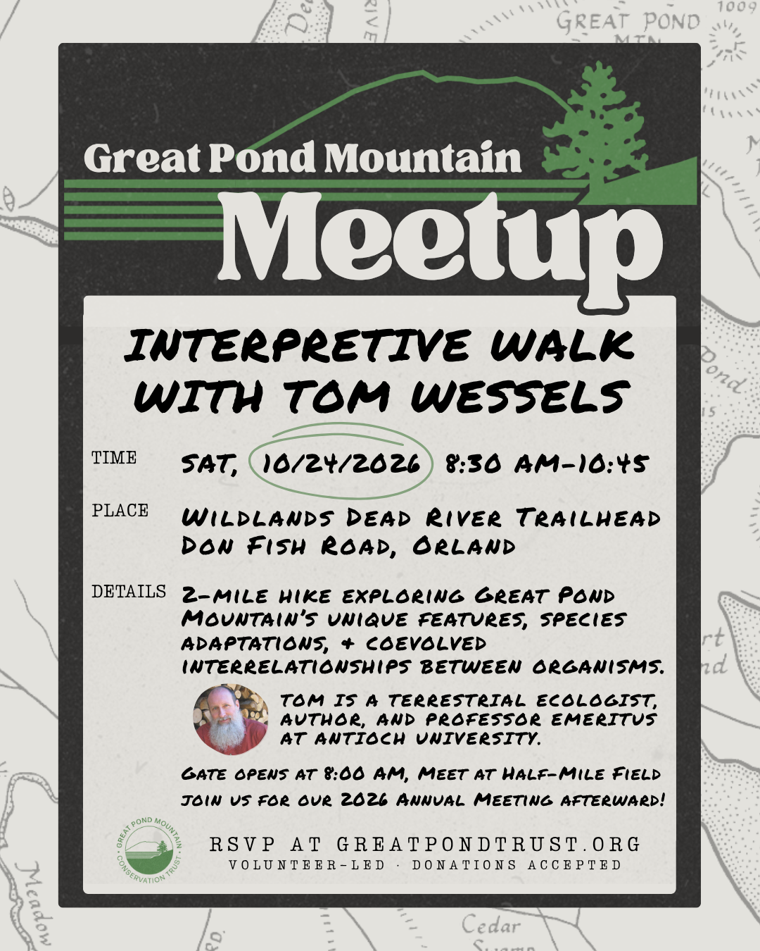 Poster for 9/19/2026 Meetup